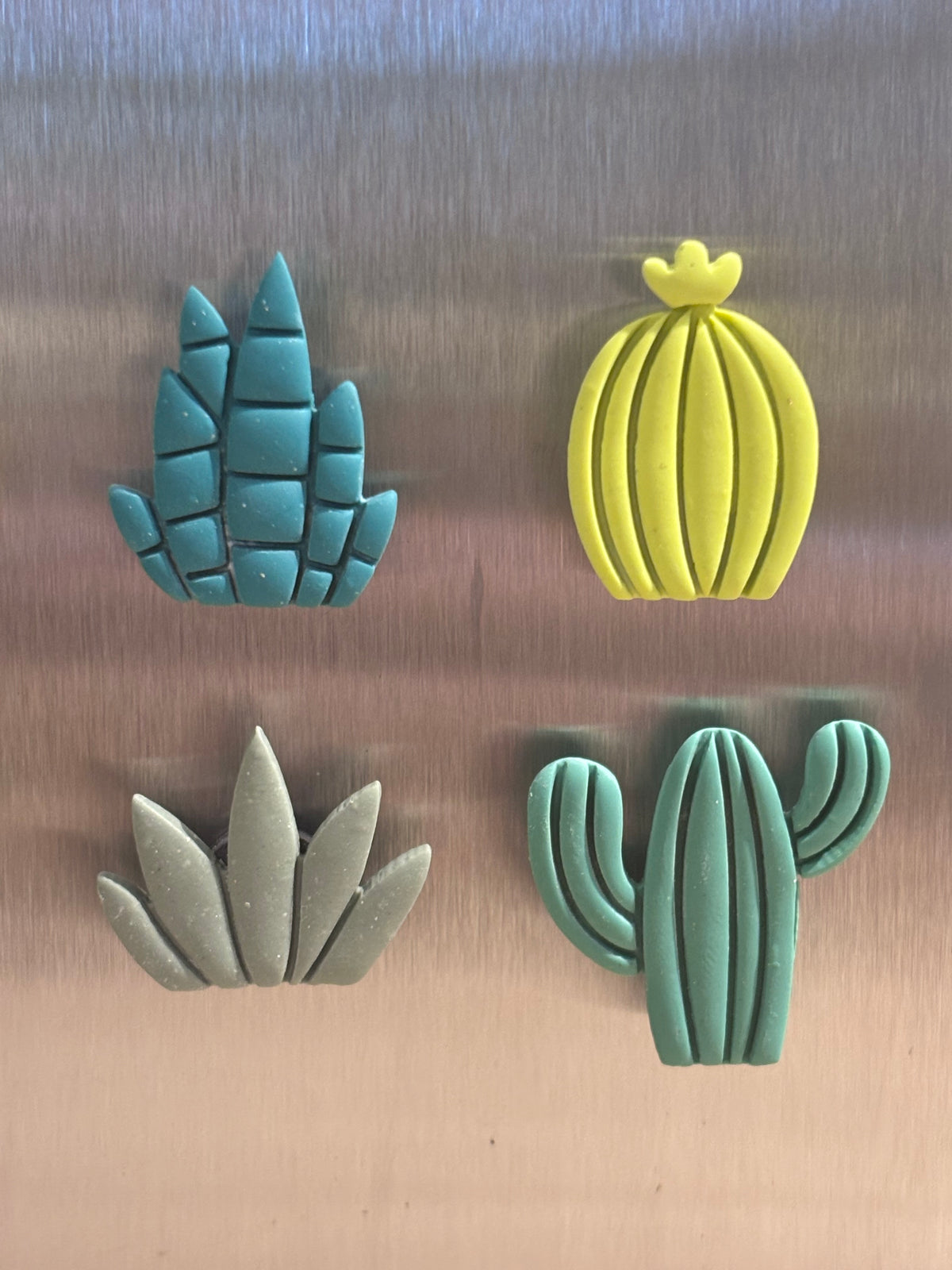 Aimants Cactus