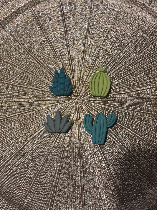 Aimants Cactus